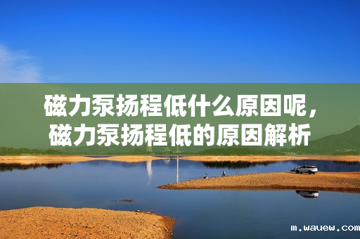 磁力泵扬程低什么原因呢,磁力泵扬程低的原因解析 磁力泵扬程低什么原因呢,磁力泵扬程低的原因解析