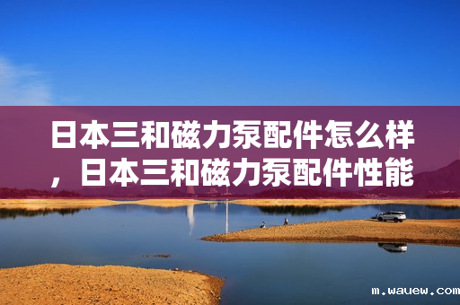 日本三和磁力泵配件怎么样,日本三和磁力泵配件性能评测及用户反馈 日本三和磁力泵配件怎么样,日本三和磁力泵配件性能评测及用户反馈