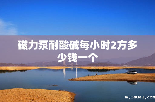 磁力泵耐酸碱每小时2方多少钱一个 磁力泵耐酸碱每小时2方多少钱一个