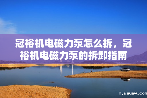 冠裕机电磁力泵怎么拆,冠裕机电磁力泵的拆卸指南 冠裕机电磁力泵怎么拆,冠裕机电磁力泵的拆卸指南