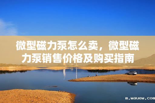 微型磁力泵怎么卖,微型磁力泵销售价格及购买指南 微型磁力泵怎么卖,微型磁力泵销售价格及购买指南