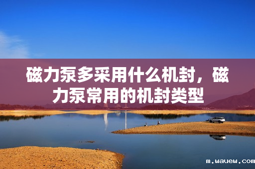 磁力泵多采用什么机封,磁力泵常用的机封类型 磁力泵多采用什么机封,磁力泵常用的机封类型