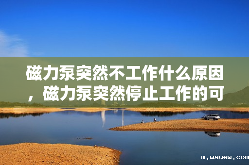 磁力泵突然不工作什么原因,磁力泵突然停止工作的可能原因解析 磁力泵突然不工作什么原因,磁力泵突然停止工作的可能原因解析