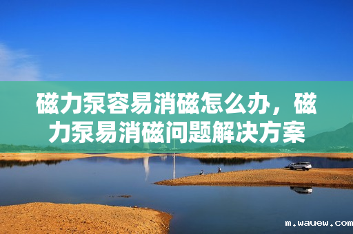 磁力泵容易消磁怎么办,磁力泵易消磁问题解决方案 磁力泵容易消磁怎么办,磁力泵易消磁问题解决方案