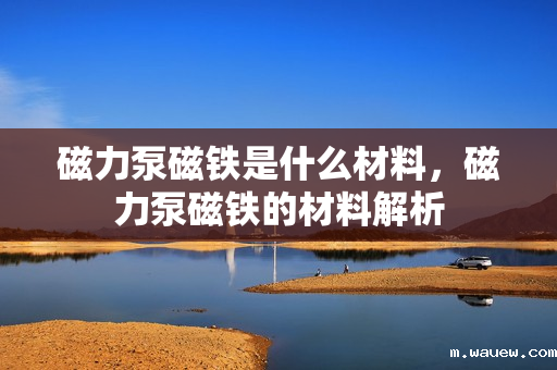 磁力泵磁铁是什么材料,磁力泵磁铁的材料解析 磁力泵磁铁是什么材料,磁力泵磁铁的材料解析