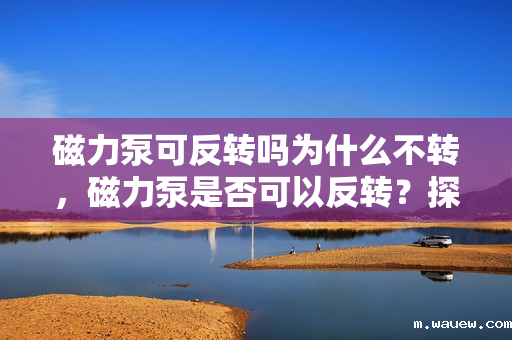 磁力泵可反转吗为什么不转,磁力泵是否可以反转?探究其不转的原因 磁力泵可反转吗为什么不转,磁力泵是否可以反转?探究其不转的原因
