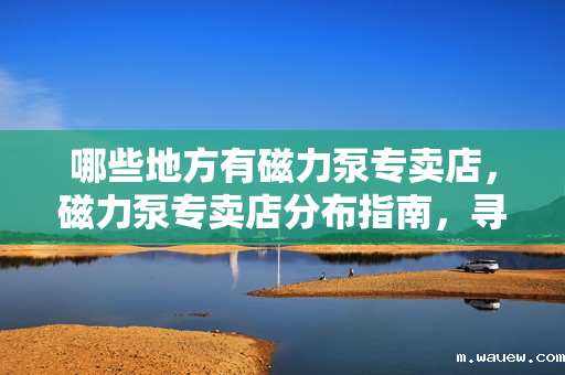 哪些地方有磁力泵专卖店,磁力泵专卖店分布指南,寻找最近的销售点 哪些地方有磁力泵专卖店,磁力泵专卖店分布指南,寻找最近的销售点