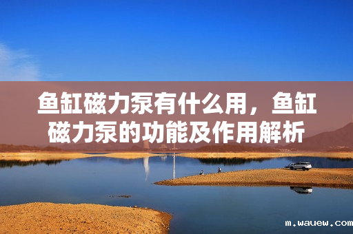 鱼缸磁力泵有什么用,鱼缸磁力泵的功能及作用解析 鱼缸磁力泵有什么用,鱼缸磁力泵的功能及作用解析