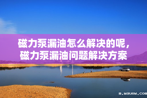 磁力泵漏油怎么解决的呢,磁力泵漏油问题解决方案 磁力泵漏油怎么解决的呢,磁力泵漏油问题解决方案