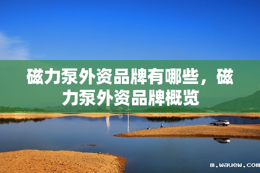 磁力泵外资品牌有哪些,磁力泵外资品牌概览 磁力泵外资品牌有哪些,磁力泵外资品牌概览