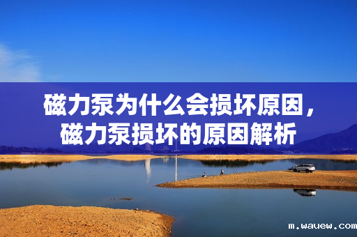 磁力泵为什么会损坏原因,磁力泵损坏的原因解析 磁力泵为什么会损坏原因,磁力泵损坏的原因解析