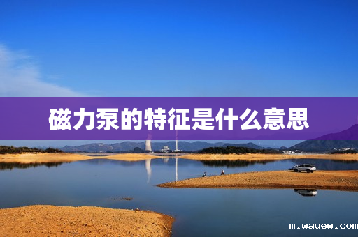 磁力泵的特征是什么意思 磁力泵的特征是什么意思