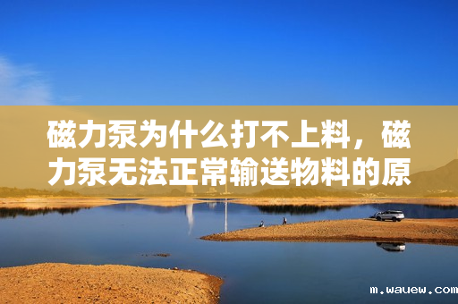 磁力泵为什么打不上料,磁力泵无法正常输送物料的原因解析 磁力泵为什么打不上料,磁力泵无法正常输送物料的原因解析