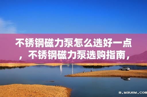 不锈钢磁力泵怎么选好一点,不锈钢磁力泵选购指南,如何挑选高品质产品 不锈钢磁力泵怎么选好一点,不锈钢磁力泵选购指南,如何挑选高品质产品