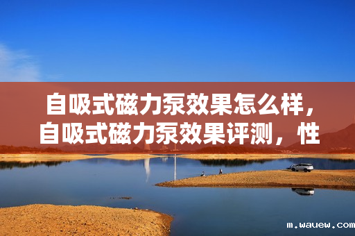 自吸式磁力泵效果怎么样,自吸式磁力泵效果评测,性能卓越,高效稳定 自吸式磁力泵效果怎么样,自吸式磁力泵效果评测,性能卓越,高效稳定