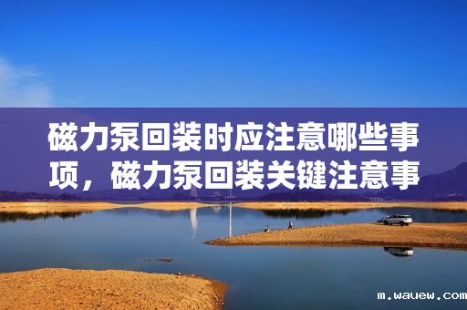 磁力泵回装时应注意哪些事项,磁力泵回装关键注意事项 磁力泵回装时应注意哪些事项,磁力泵回装关键注意事项