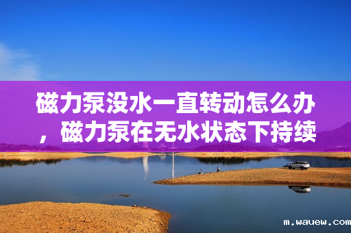 磁力泵没水一直转动怎么办,磁力泵在无水状态下持续转动的解决方案 磁力泵没水一直转动怎么办,磁力泵在无水状态下持续转动的解决方案