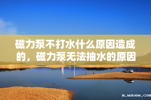 磁力泵不打水什么原因造成的,磁力泵无法抽水的原因解析 磁力泵不打水什么原因造成的,磁力泵无法抽水的原因解析