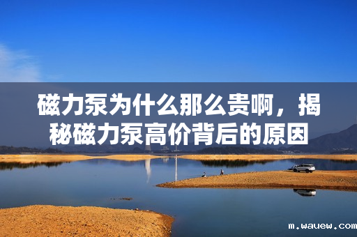 磁力泵为什么那么贵啊,揭秘磁力泵高价背后的原因 磁力泵为什么那么贵啊,揭秘磁力泵高价背后的原因