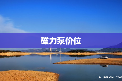 磁力泵价位 磁力泵价位