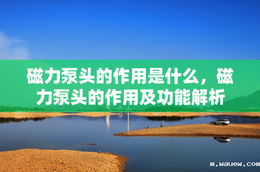 磁力泵头的作用是什么,磁力泵头的作用及功能解析 磁力泵头的作用是什么,磁力泵头的作用及功能解析