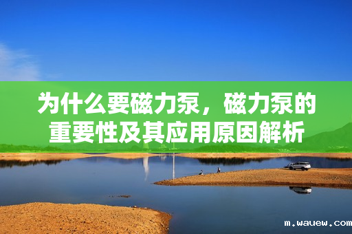 为什么要磁力泵,磁力泵的重要性及其应用原因解析 为什么要磁力泵,磁力泵的重要性及其应用原因解析