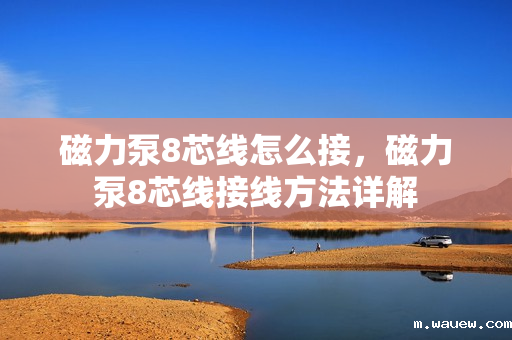 磁力泵8芯线怎么接,磁力泵8芯线接线方法详解 磁力泵8芯线怎么接,磁力泵8芯线接线方法详解