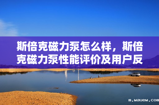 斯倍克磁力泵怎么样,斯倍克磁力泵性能评价及用户反馈 斯倍克磁力泵怎么样,斯倍克磁力泵性能评价及用户反馈