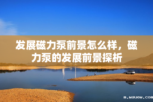 发展磁力泵前景怎么样,磁力泵的发展前景探析 发展磁力泵前景怎么样,磁力泵的发展前景探析