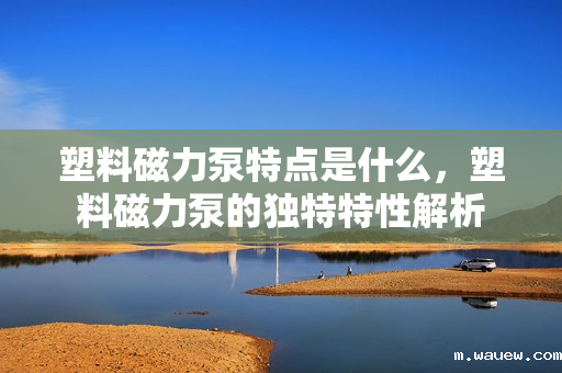 塑料磁力泵特点是什么,塑料磁力泵的独特特性解析 塑料磁力泵特点是什么,塑料磁力泵的独特特性解析