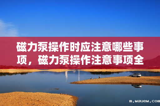 磁力泵操作时应注意哪些事项,磁力泵操作注意事项全解析 磁力泵操作时应注意哪些事项,磁力泵操作注意事项全解析