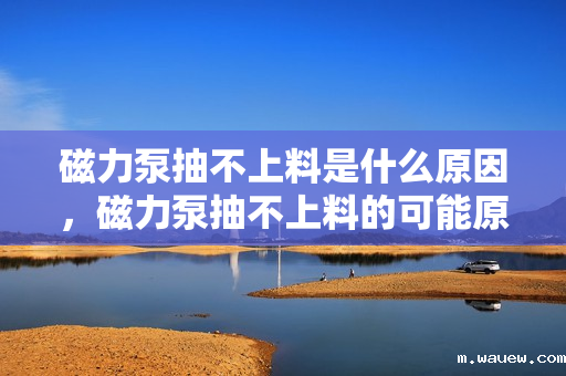 磁力泵抽不上料是什么原因,磁力泵抽不上料的可能原因及解决方案 磁力泵抽不上料是什么原因,磁力泵抽不上料的可能原因及解决方案