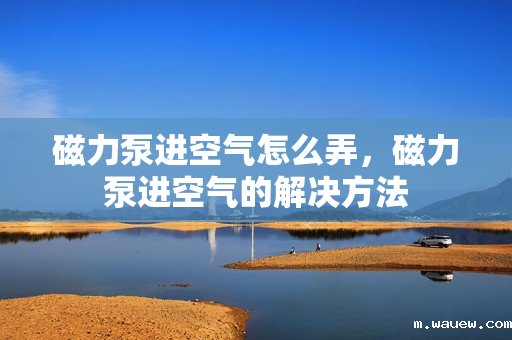 磁力泵进空气怎么弄,磁力泵进空气的解决方法 磁力泵进空气怎么弄,磁力泵进空气的解决方法