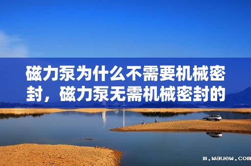 磁力泵为什么不需要机械密封,磁力泵无需机械密封的奥秘 磁力泵为什么不需要机械密封,磁力泵无需机械密封的奥秘