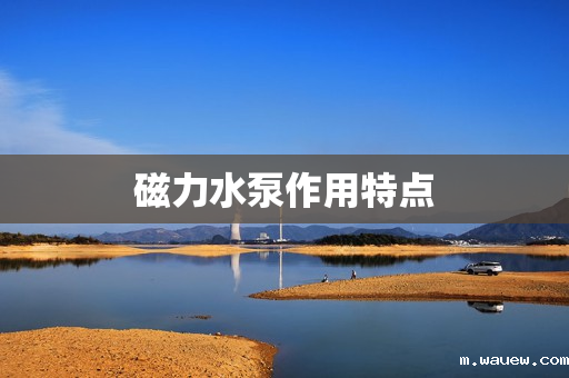 磁力水泵作用特点 磁力水泵作用特点