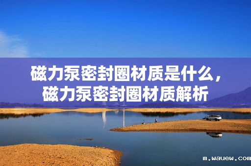 磁力泵密封圈材质是什么,磁力泵密封圈材质解析 磁力泵密封圈材质是什么,磁力泵密封圈材质解析