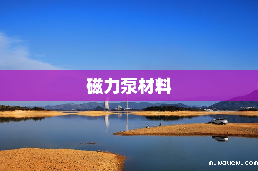 磁力泵材料 磁力泵材料