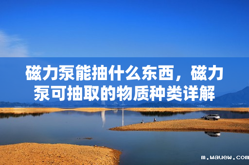 磁力泵能抽什么东西,磁力泵可抽取的物质种类详解 磁力泵能抽什么东西,磁力泵可抽取的物质种类详解