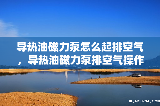 导热油磁力泵怎么起排空气,导热油磁力泵排空气操作指南 导热油磁力泵怎么起排空气,导热油磁力泵排空气操作指南