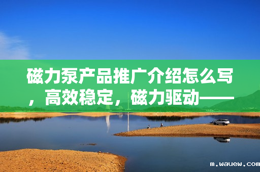 磁力泵产品推广介绍怎么写,高效稳定,磁力驱动——探索磁力泵的卓越性能与应用 磁力泵产品推广介绍怎么写,高效稳定,磁力驱动——探索磁力泵的卓越性能与应用