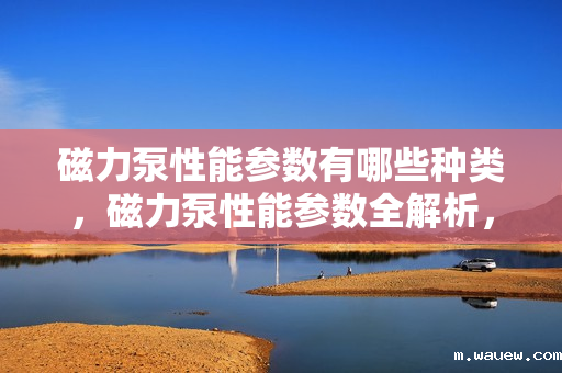 磁力泵性能参数有哪些种类,磁力泵性能参数全解析,了解各种关键指标 磁力泵性能参数有哪些种类,磁力泵性能参数全解析,了解各种关键指标