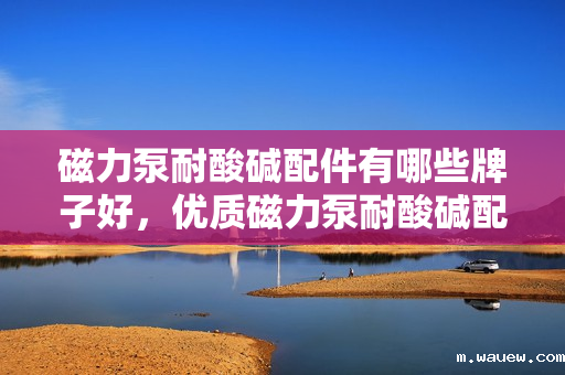 磁力泵耐酸碱配件有哪些牌子好,优质磁力泵耐酸碱配件品牌推荐 磁力泵耐酸碱配件有哪些牌子好,优质磁力泵耐酸碱配件品牌推荐