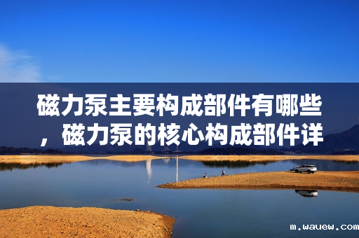 磁力泵主要构成部件有哪些,磁力泵的核心构成部件详解 磁力泵主要构成部件有哪些,磁力泵的核心构成部件详解