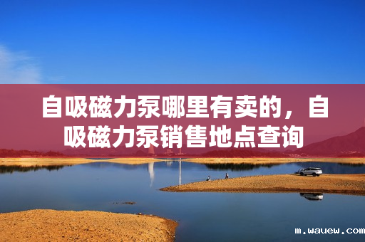 自吸磁力泵哪里有卖的,自吸磁力泵销售地点查询 自吸磁力泵哪里有卖的,自吸磁力泵销售地点查询