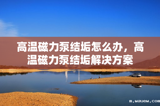 高温磁力泵结垢怎么办,高温磁力泵结垢解决方案 高温磁力泵结垢怎么办,高温磁力泵结垢解决方案