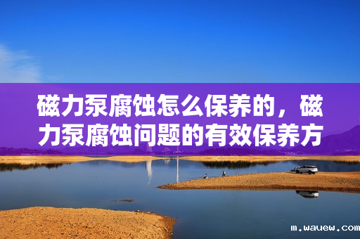 磁力泵腐蚀怎么保养的,磁力泵腐蚀问题的有效保养方法 磁力泵腐蚀怎么保养的,磁力泵腐蚀问题的有效保养方法