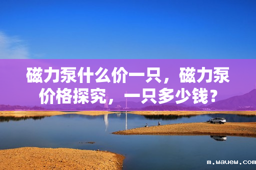 磁力泵什么价一只,磁力泵价格探究,一只多少钱? 磁力泵什么价一只,磁力泵价格探究,一只多少钱?