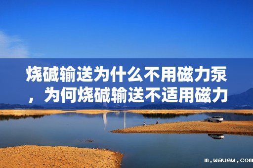 烧碱输送为什么不用磁力泵,为何烧碱输送不适用磁力泵? 烧碱输送为什么不用磁力泵,为何烧碱输送不适用磁力泵?