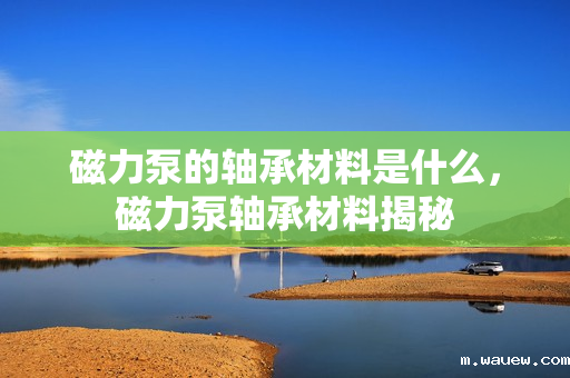 磁力泵的轴承材料是什么,磁力泵轴承材料揭秘 磁力泵的轴承材料是什么,磁力泵轴承材料揭秘