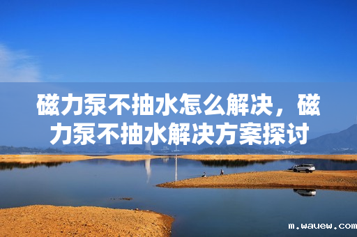 磁力泵不抽水怎么解决,磁力泵不抽水解决方案探讨 磁力泵不抽水怎么解决,磁力泵不抽水解决方案探讨